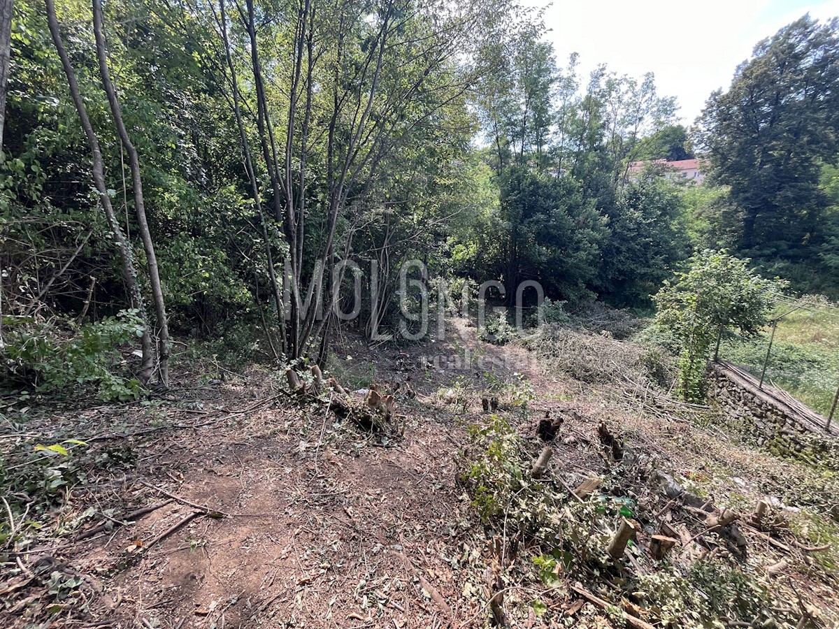 MARČELJI