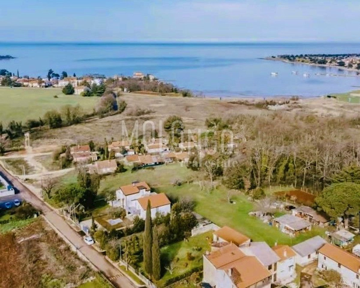 NOVIGRAD