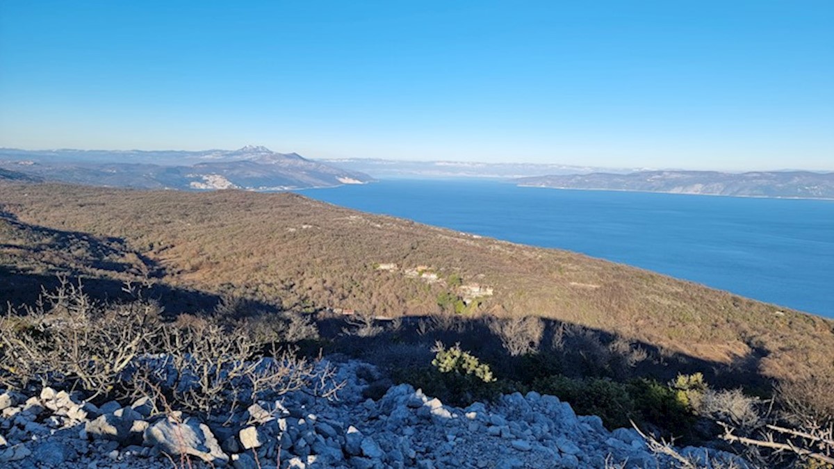 SKITAČA