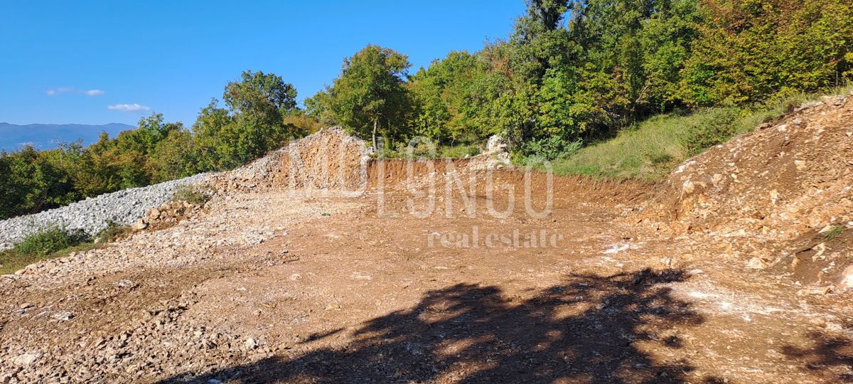PEROVIĆI