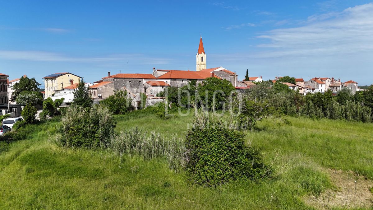 BRTONIGLA