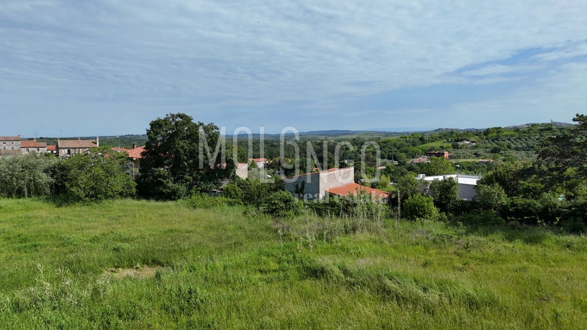 BRTONIGLA
