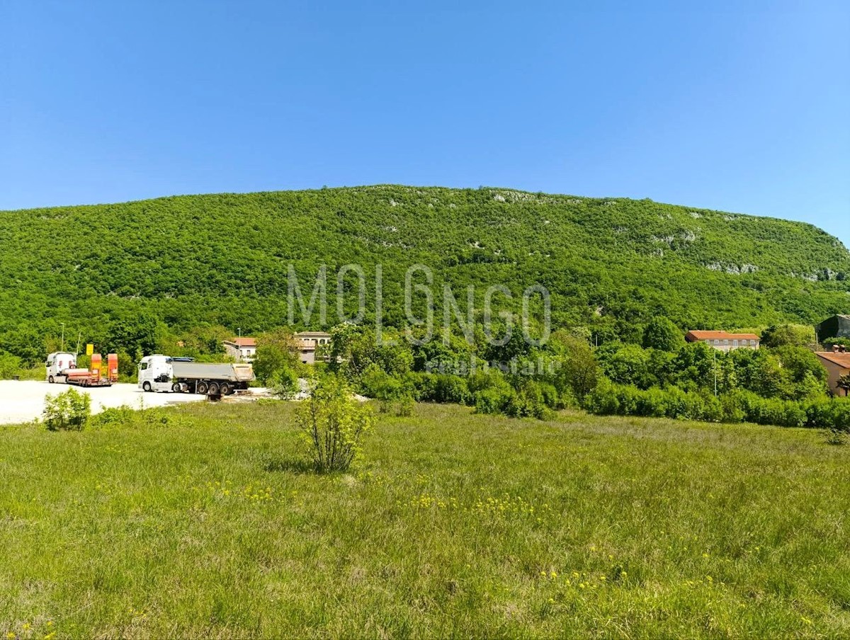 LUPOGLAV