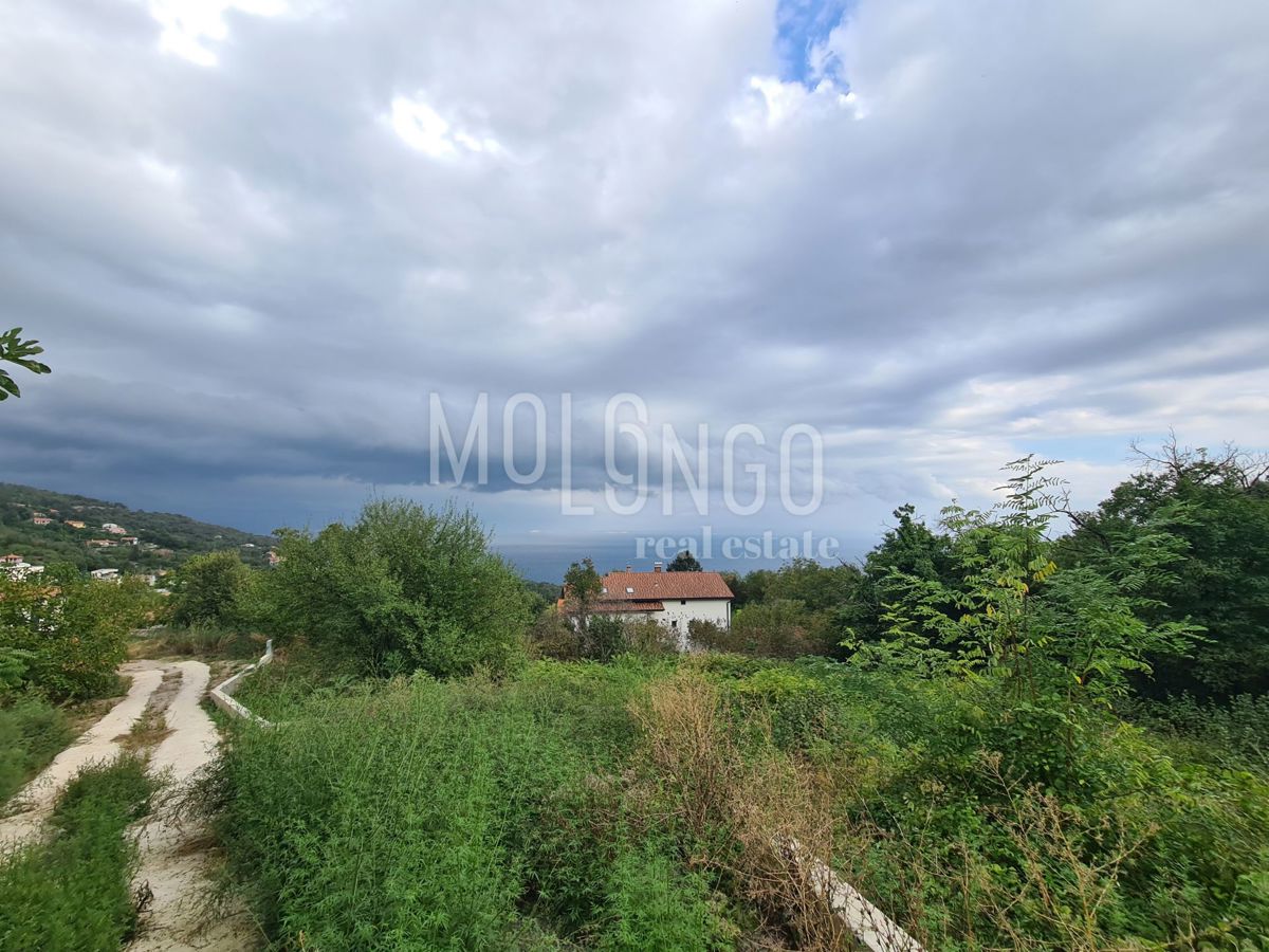 POLJANE