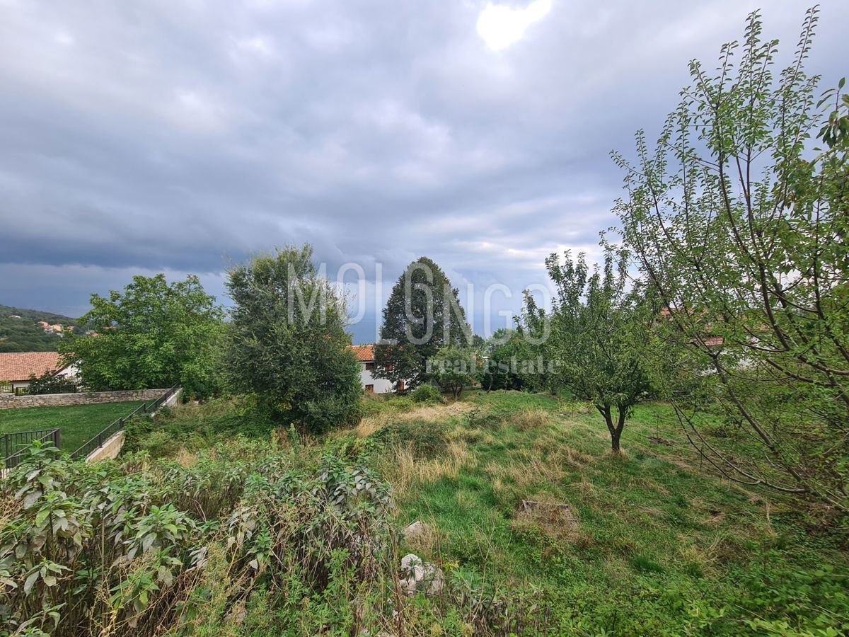 POLJANE
