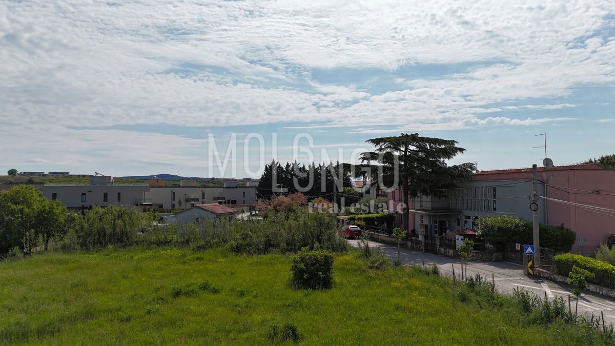 BRTONIGLA