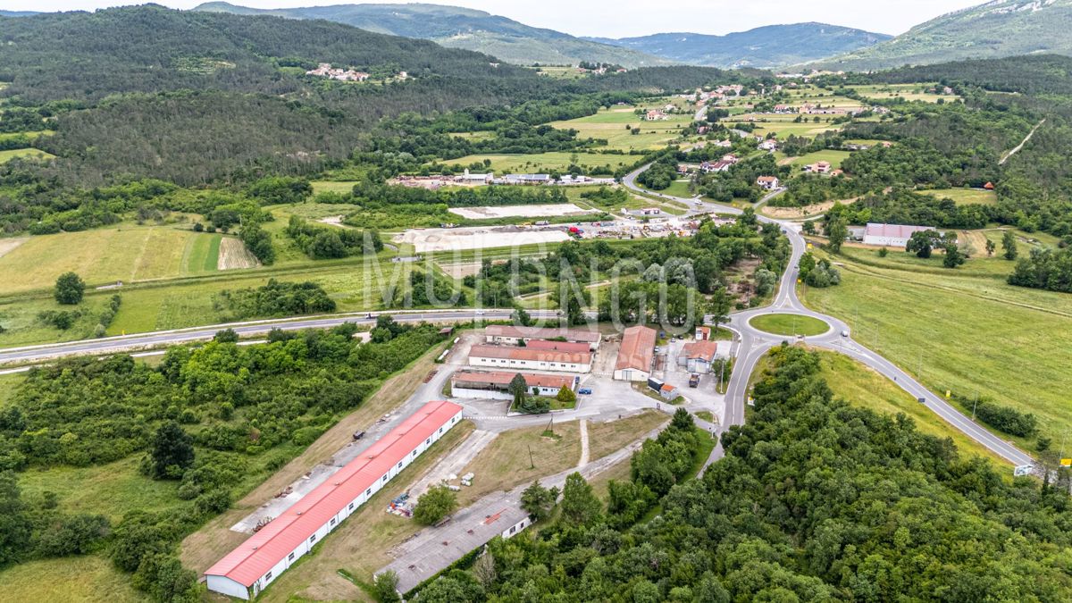 BUZET