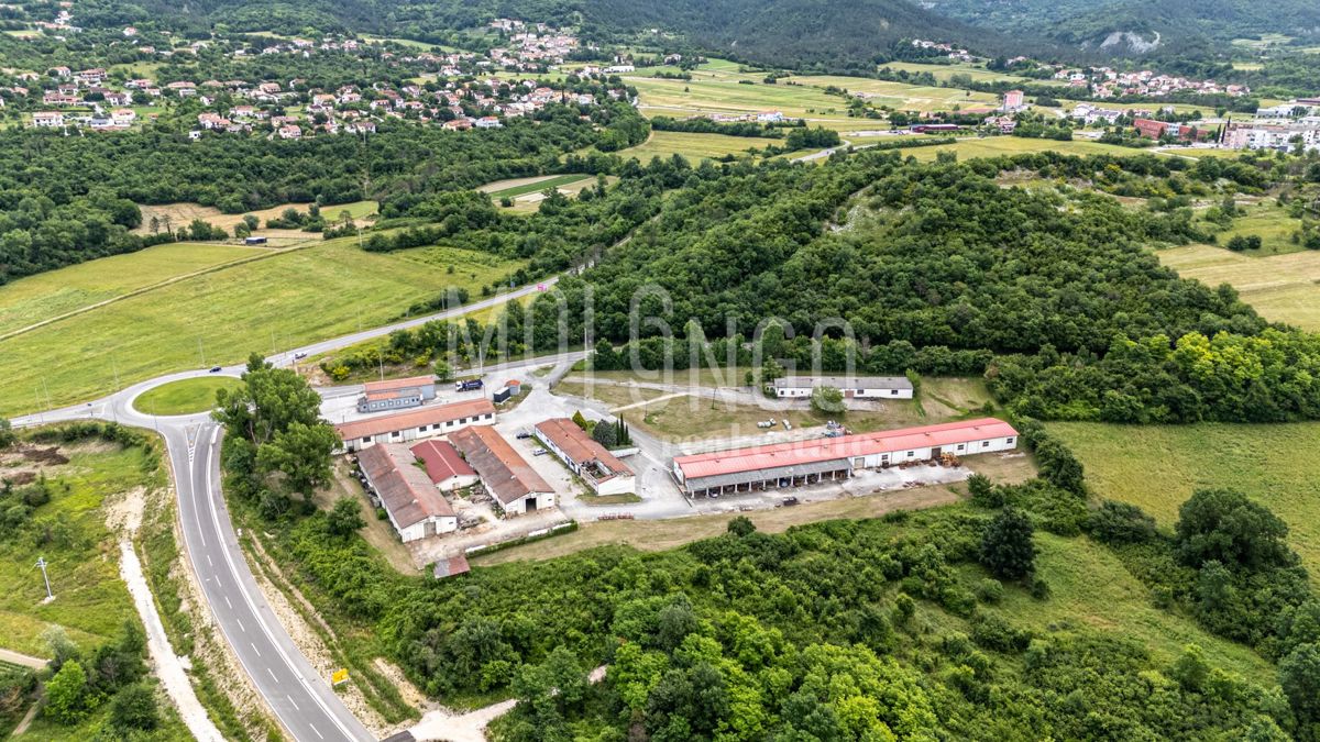 BUZET