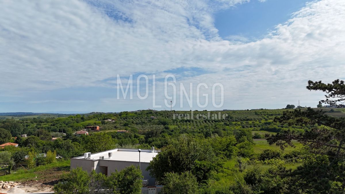 BRTONIGLA
