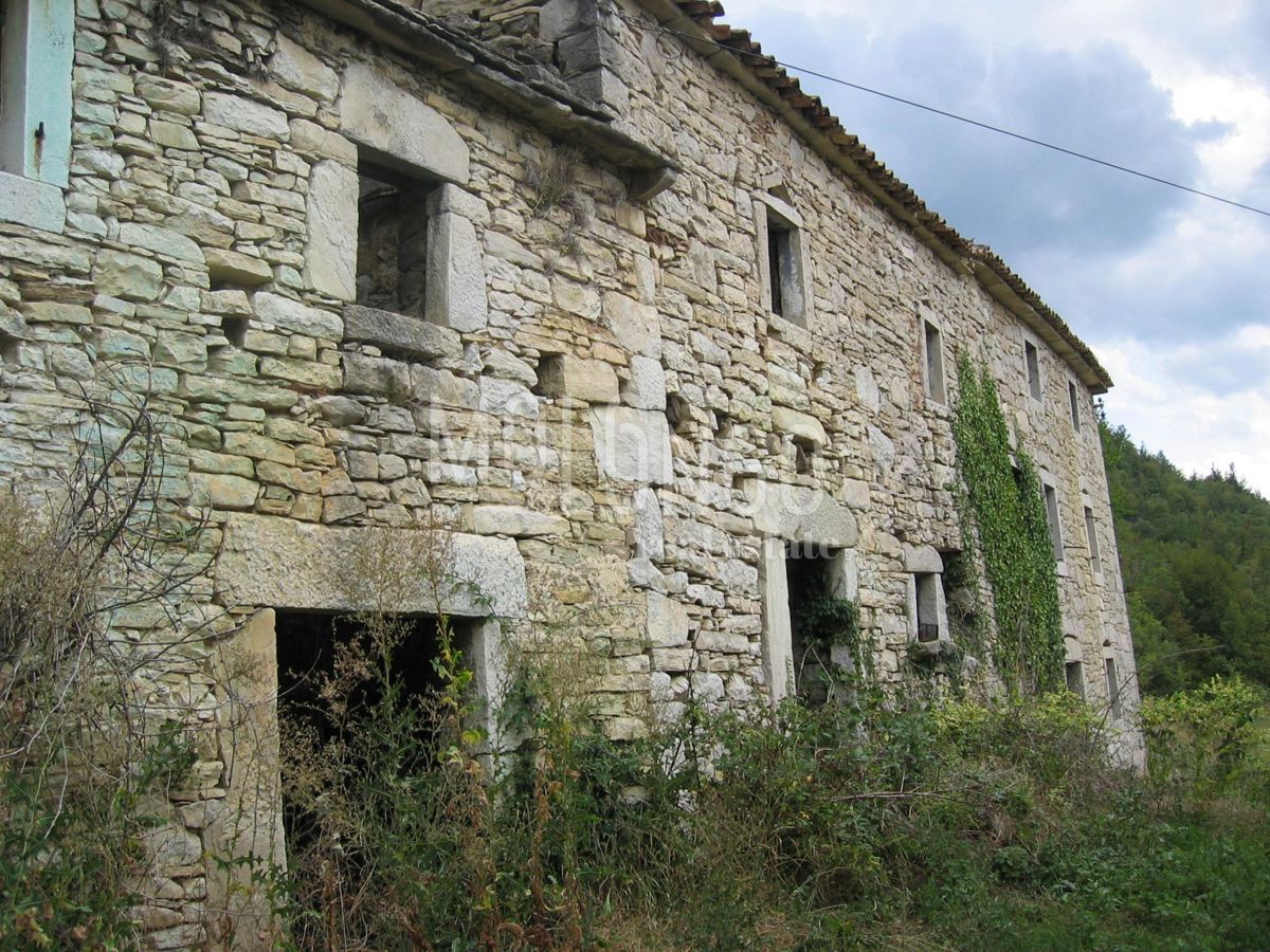 BUZET