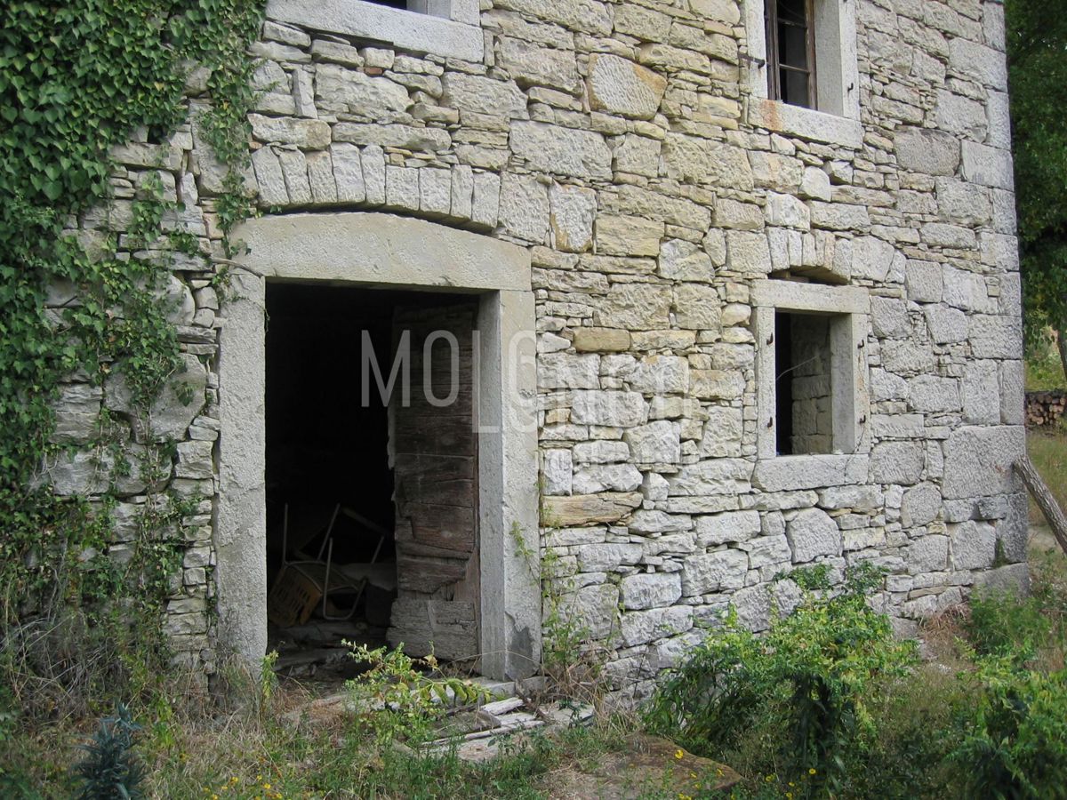 BUZET