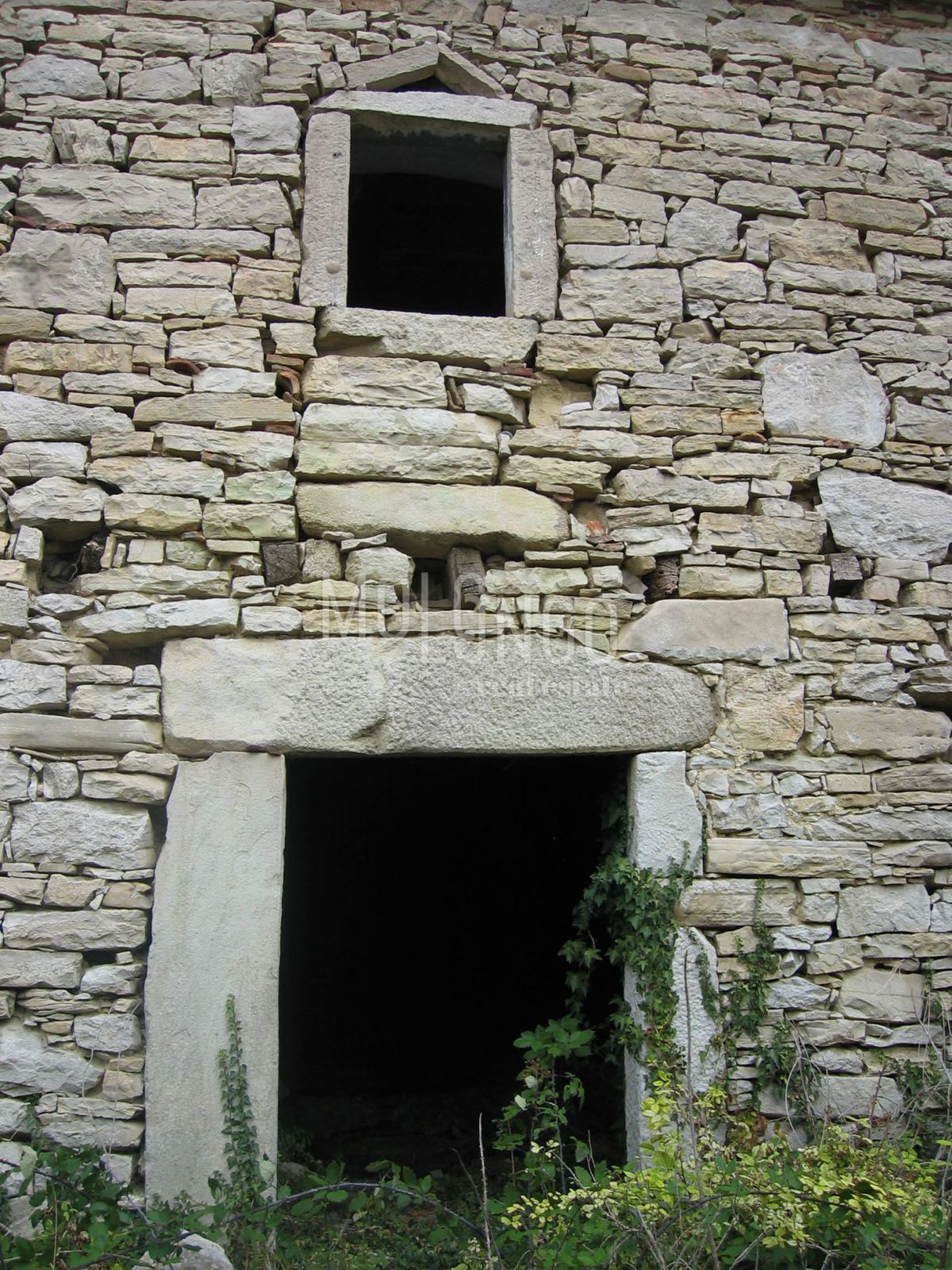 BUZET