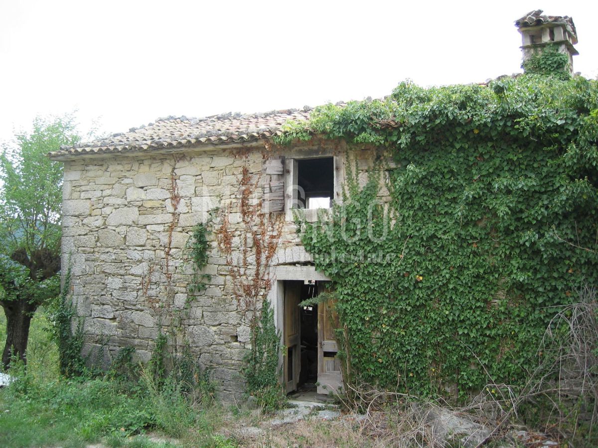 BUZET