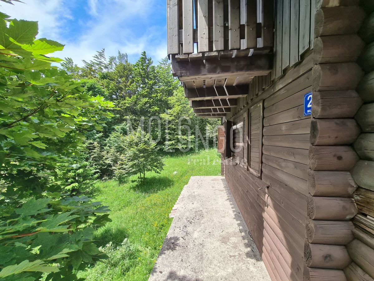 ČAVLE