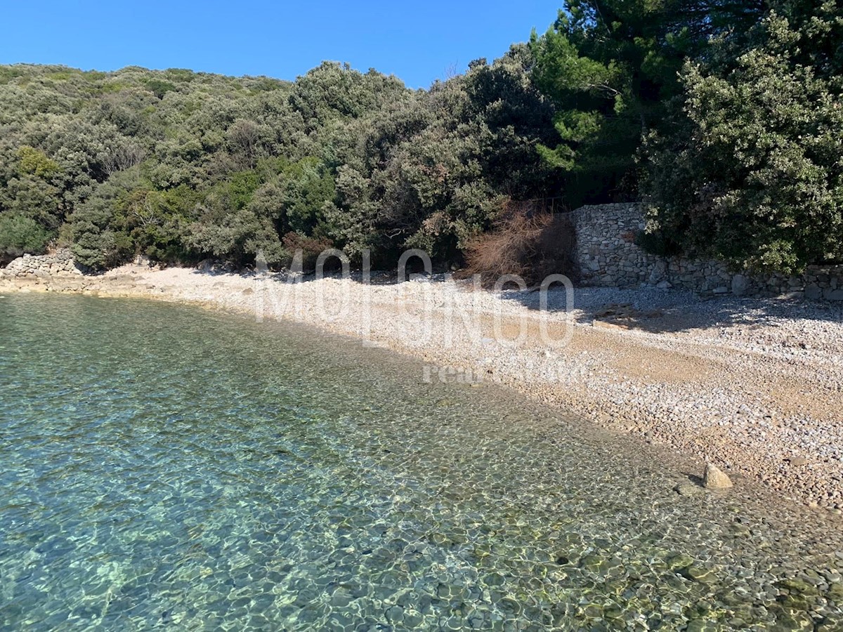 USTRINE