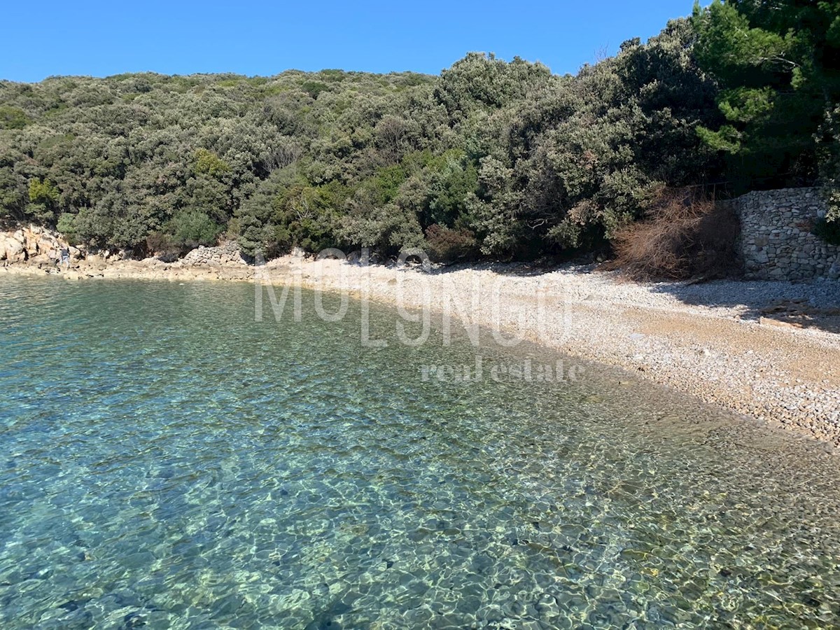 USTRINE