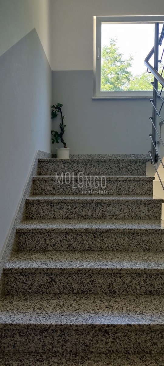 SARŠONI