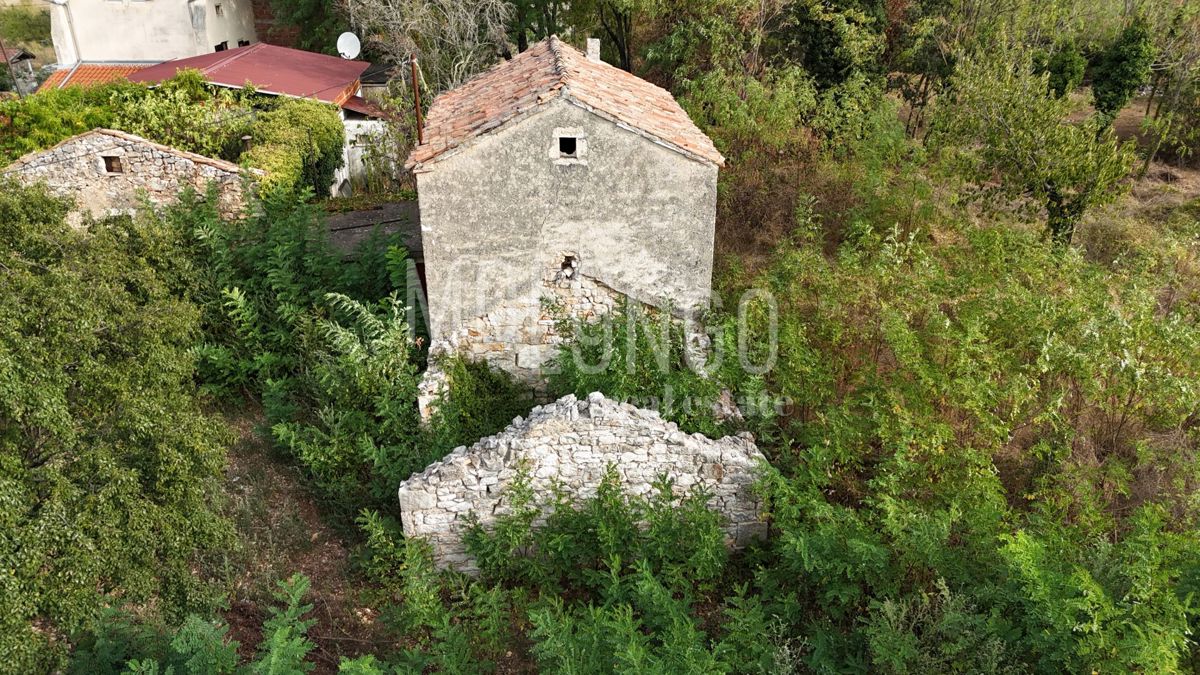 RUŽIĆI