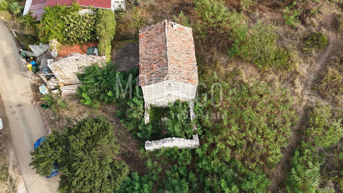 RUŽIĆI