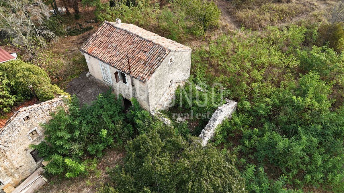 RUŽIĆI
