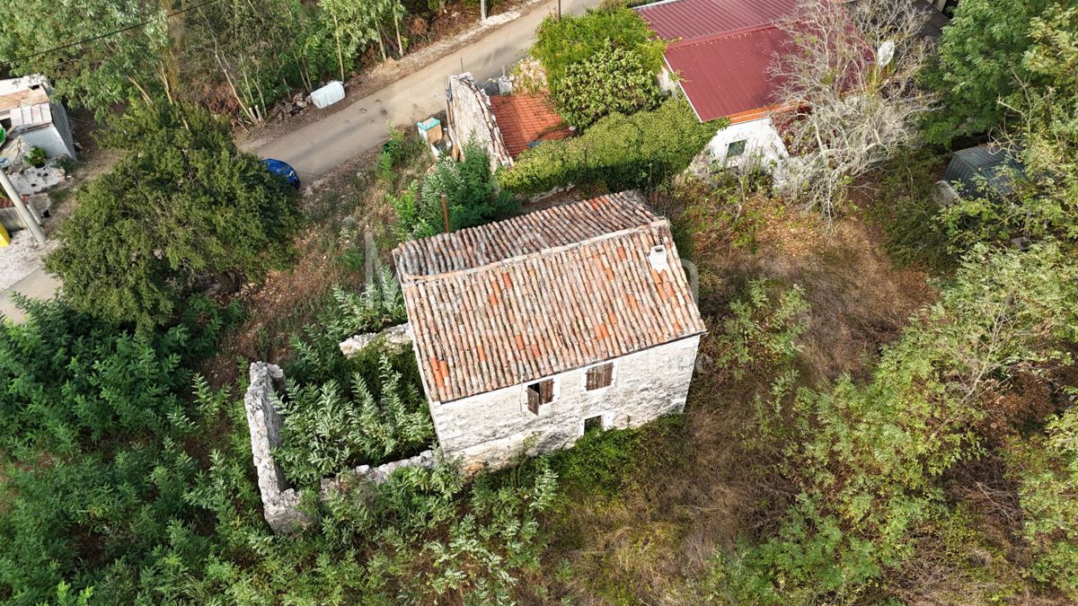 RUŽIĆI