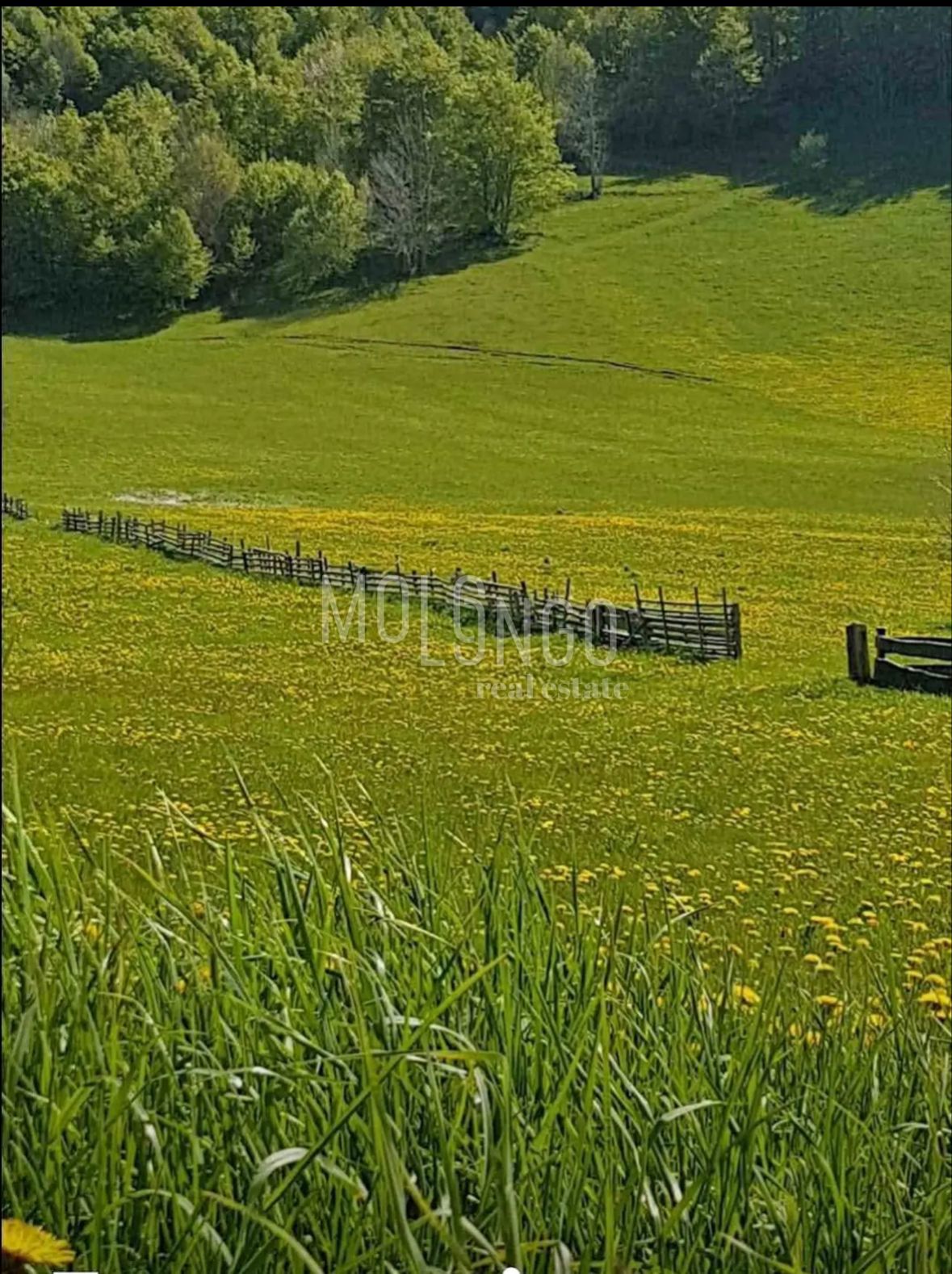 BEGOVO RAZDOLJE