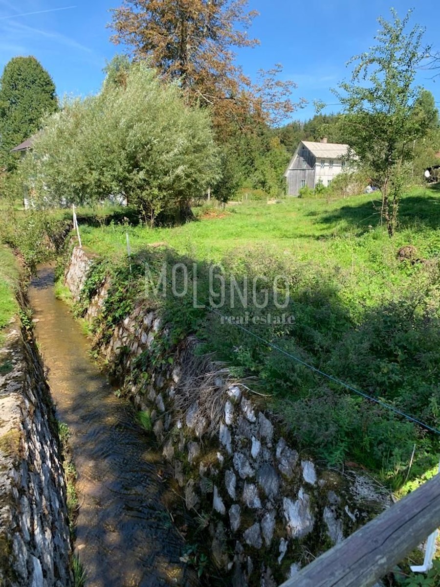 TRŠĆE