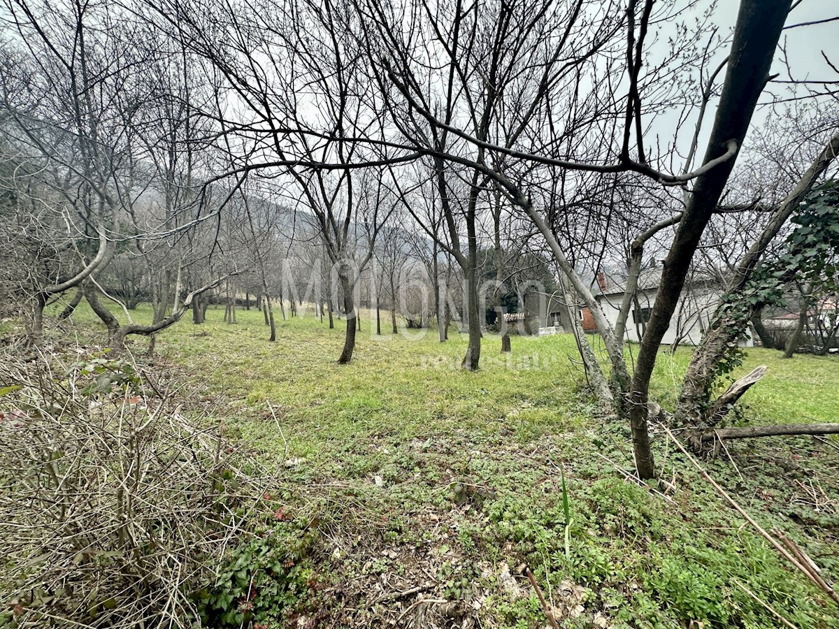 DRAGA