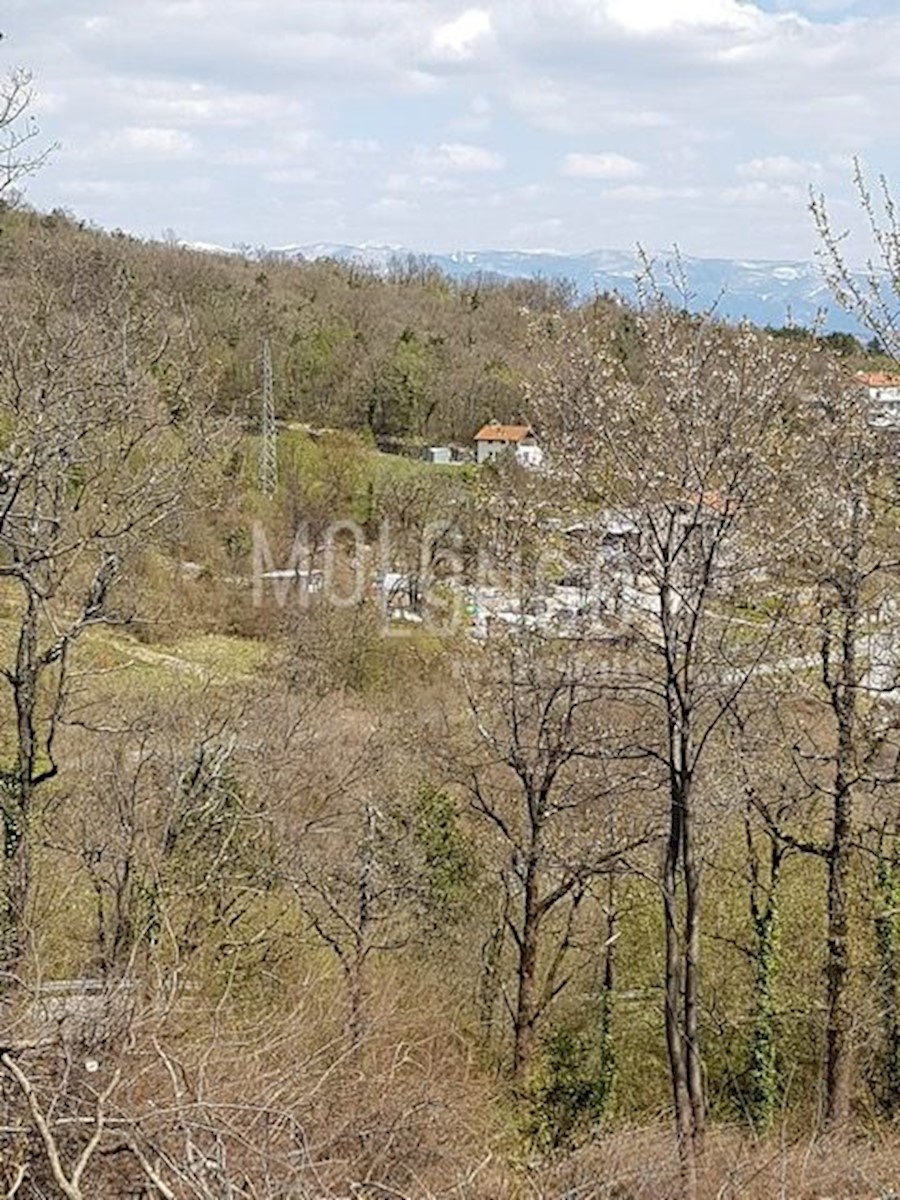 VEPRINAC