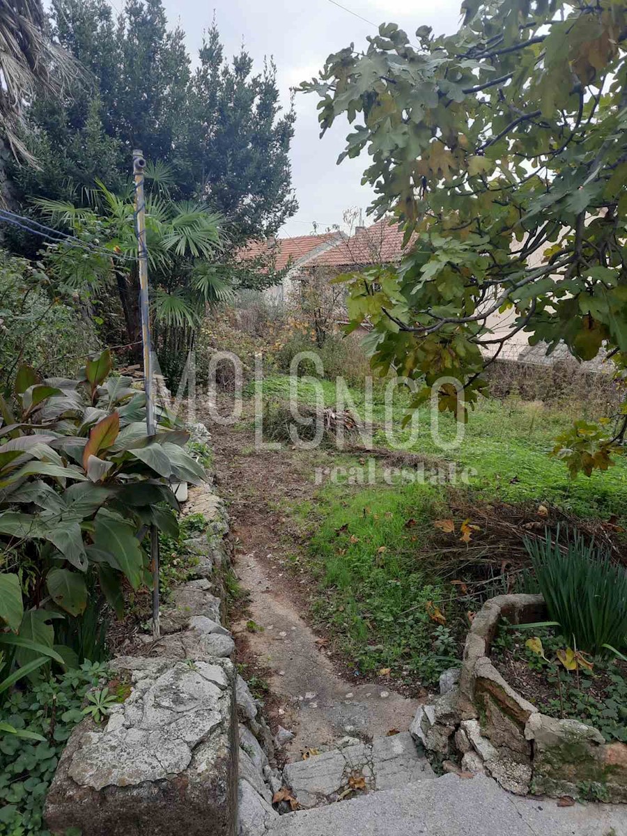 ŠKURINJE