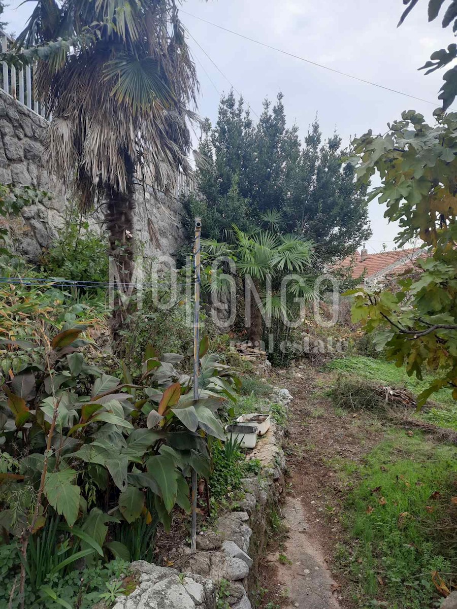 ŠKURINJE
