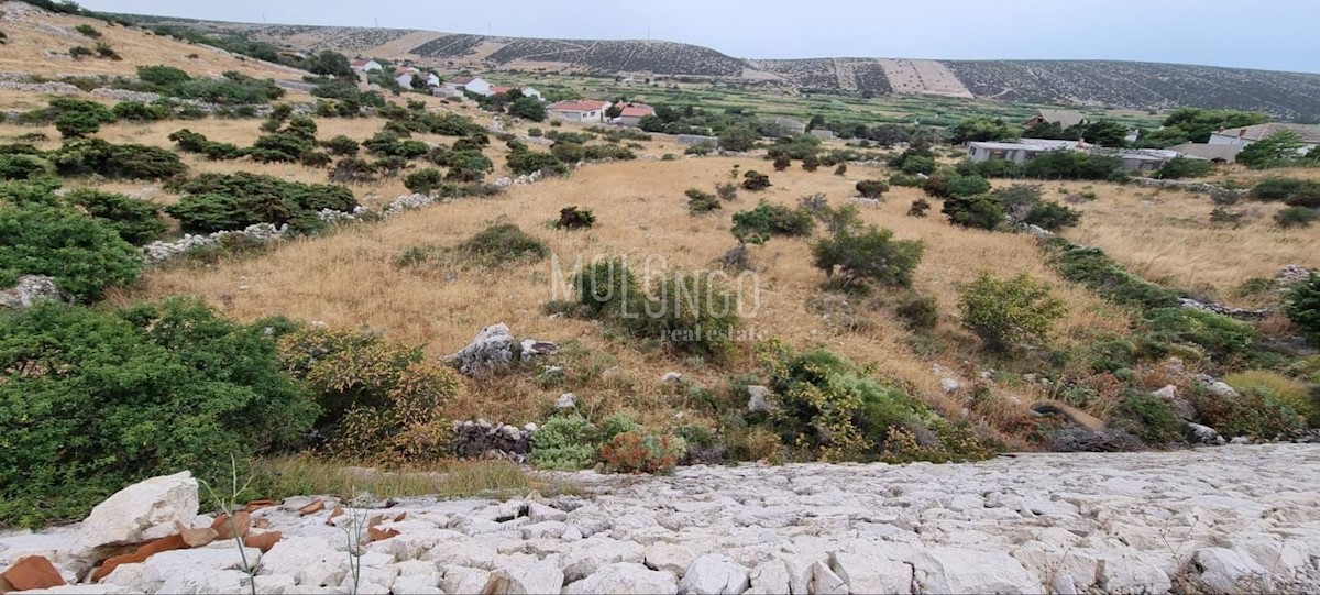 PAG
