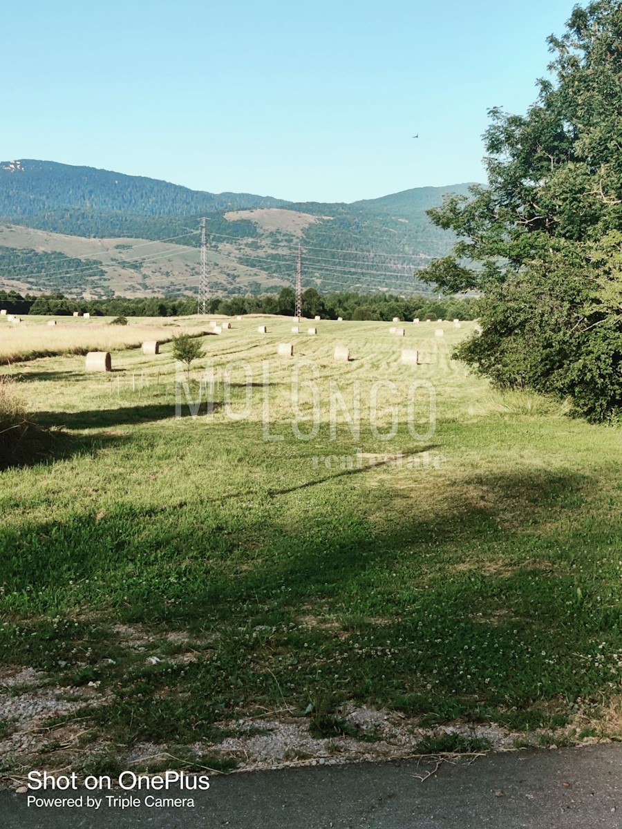 LIČ