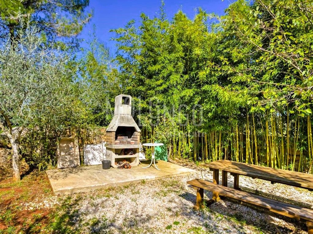 ZAMBRATIJA