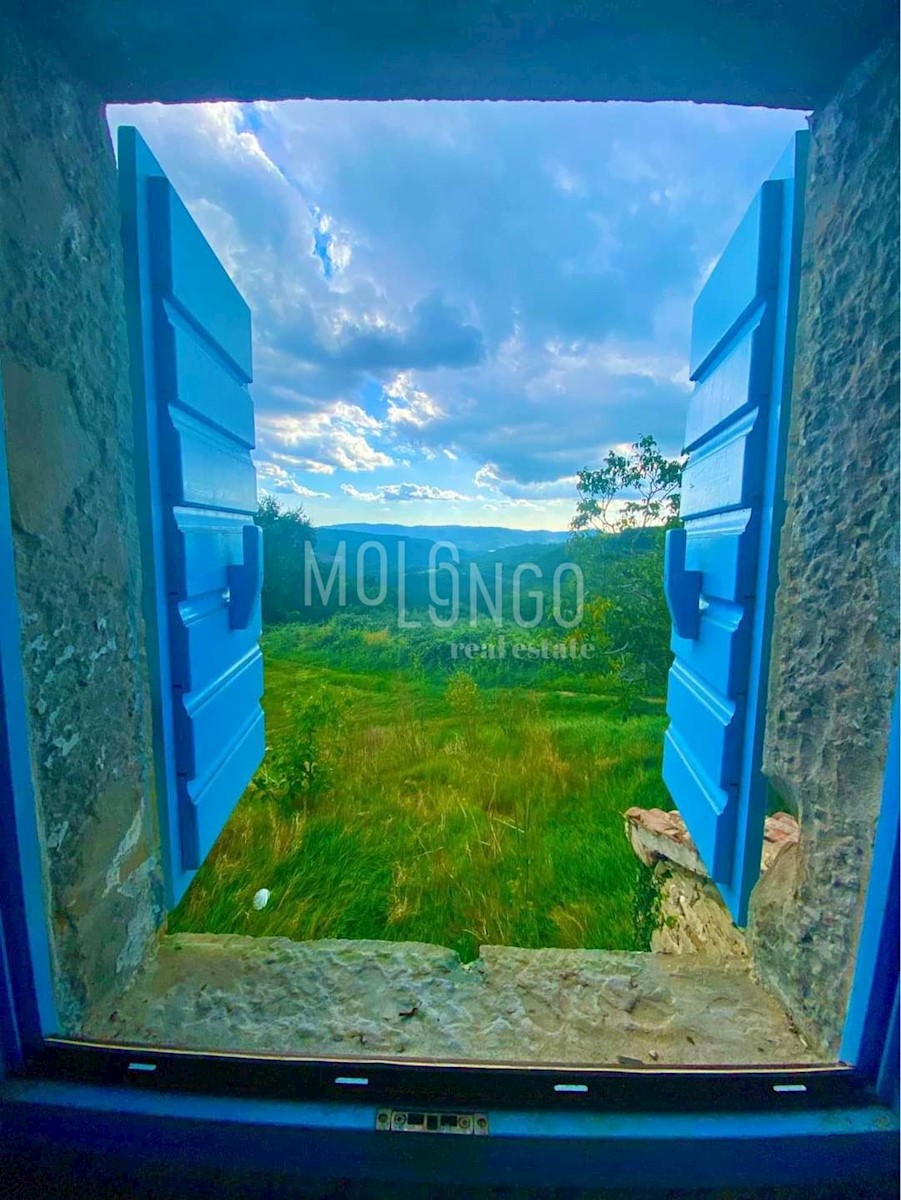 OSLIĆI