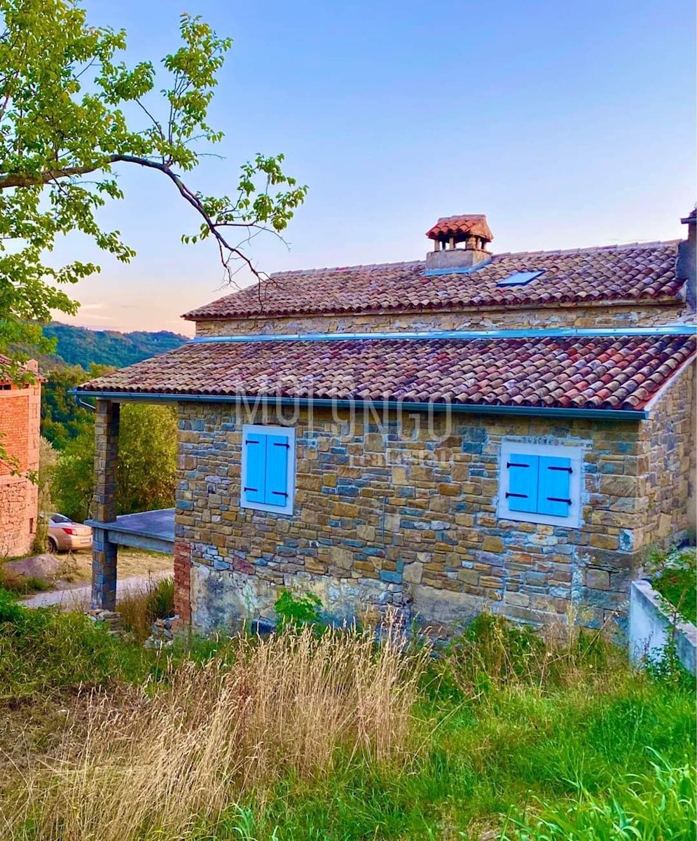 OSLIĆI