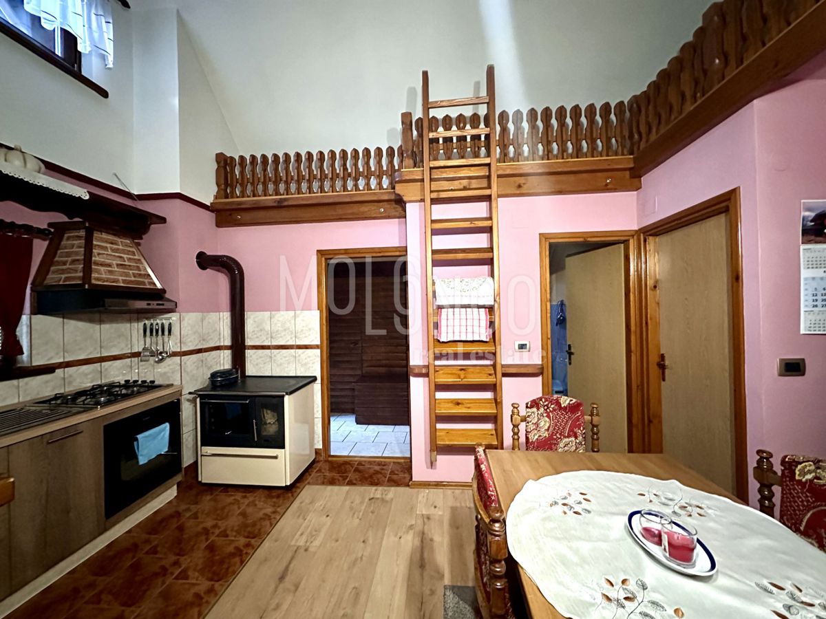 STARA SUŠICA