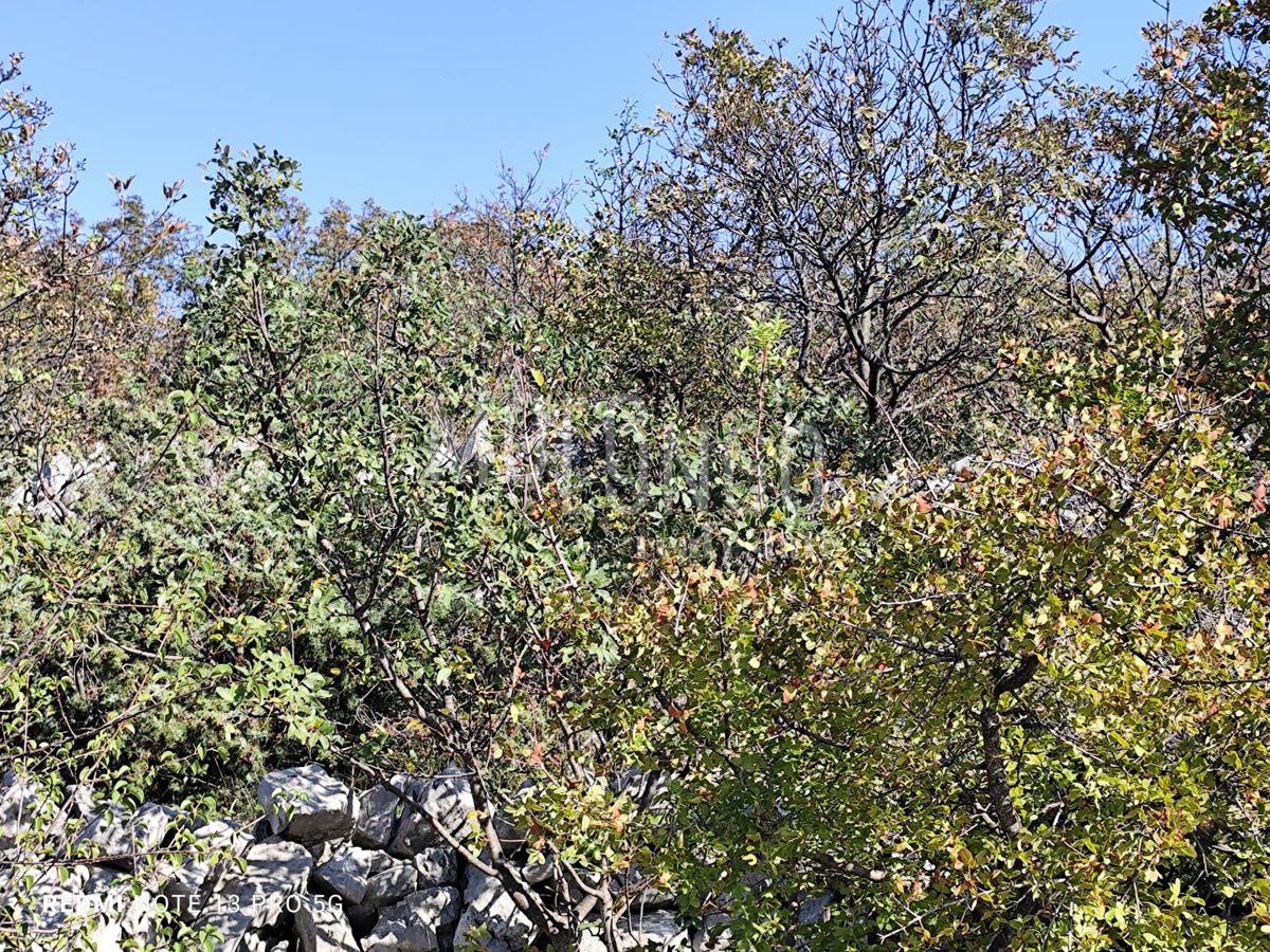 ŠMRIKA