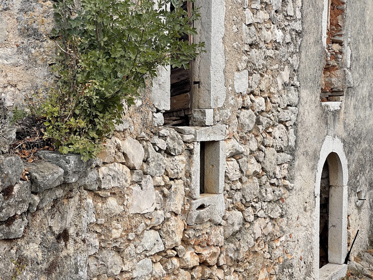 ŽGALJIĆI