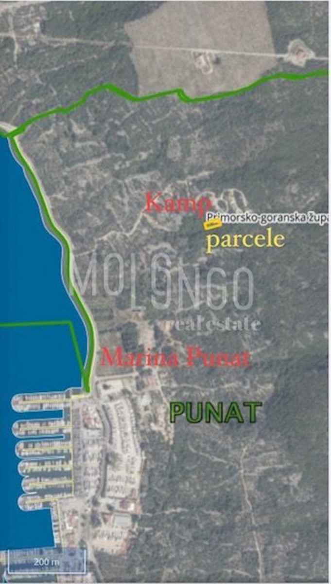 PUNAT