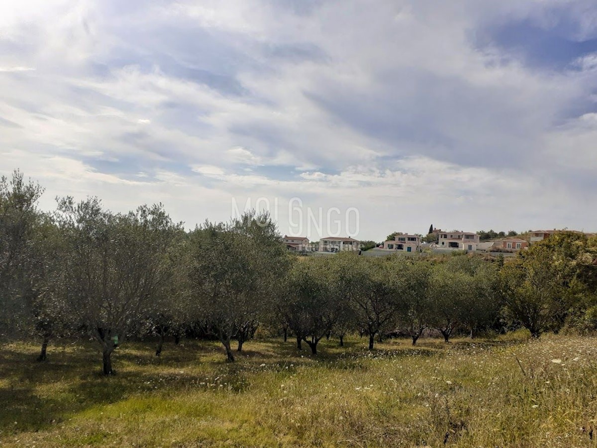 POREČ