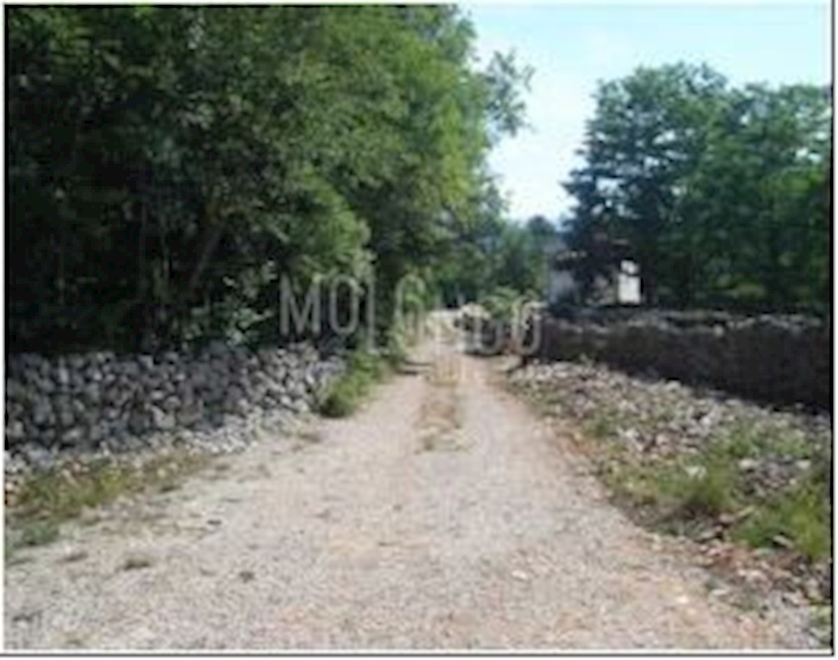 HLAPA