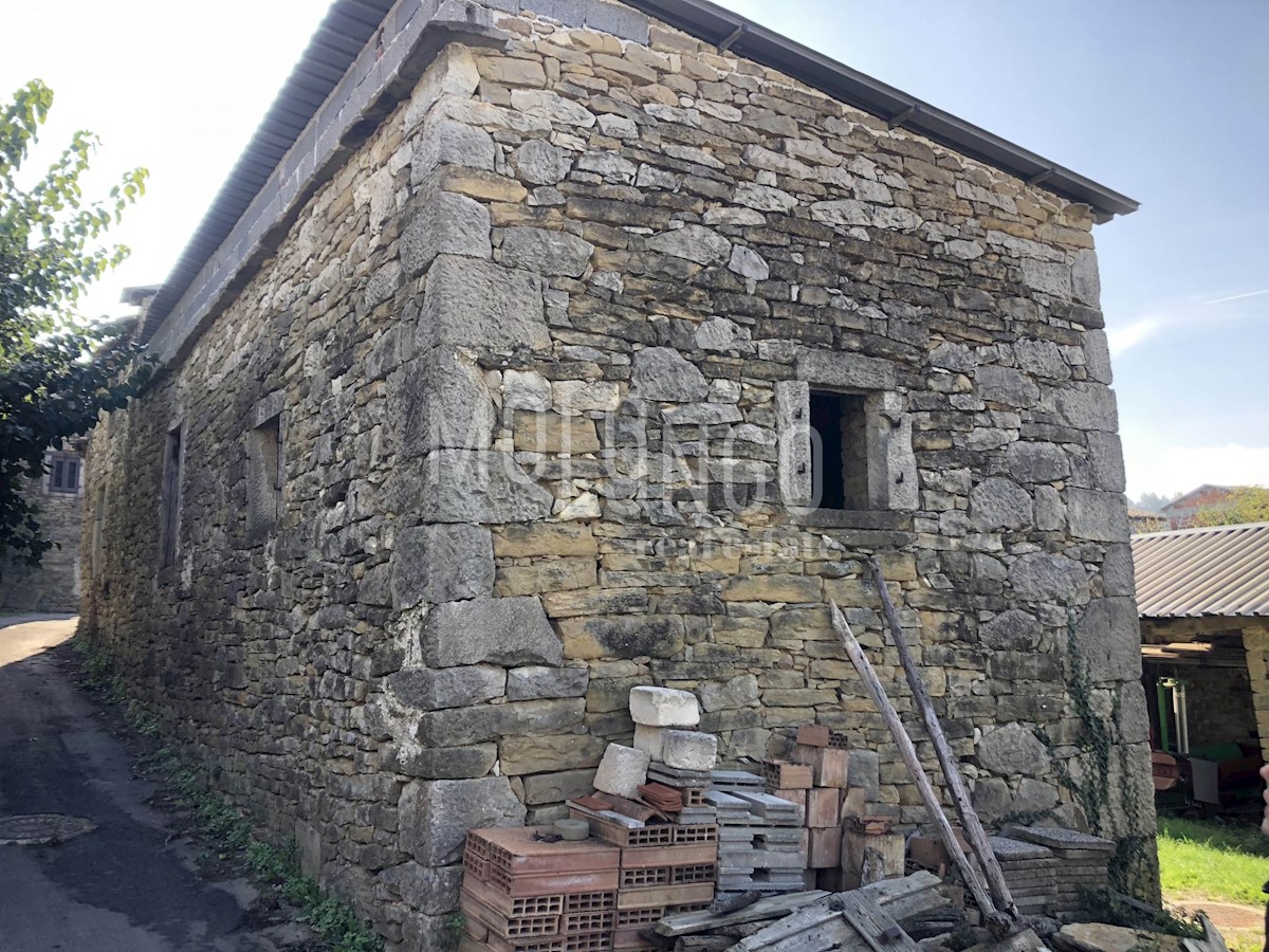 GRIMALDA