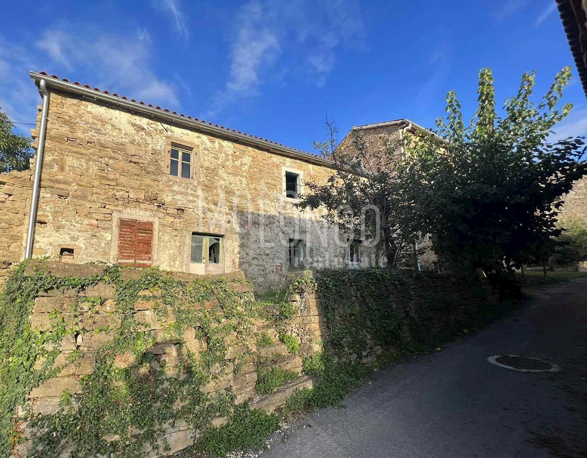 GRIMALDA