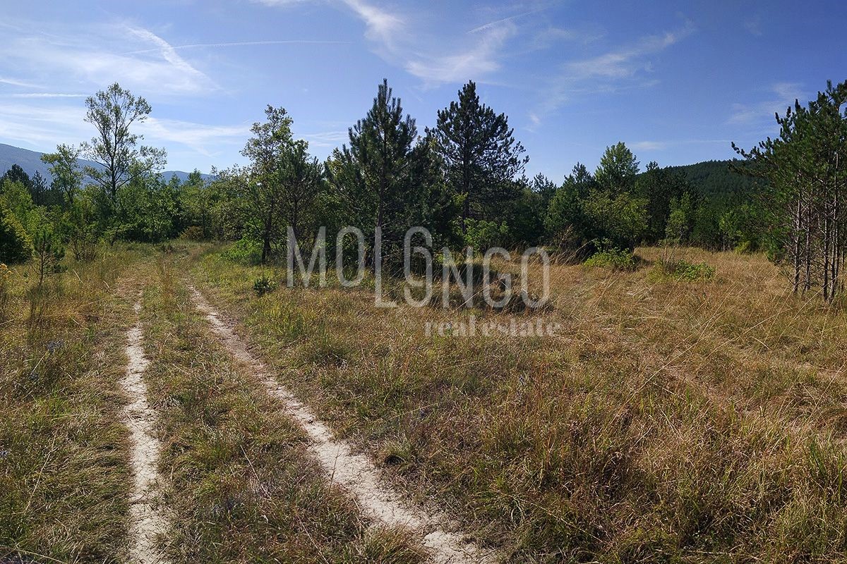 ŠUŠNJEVICA