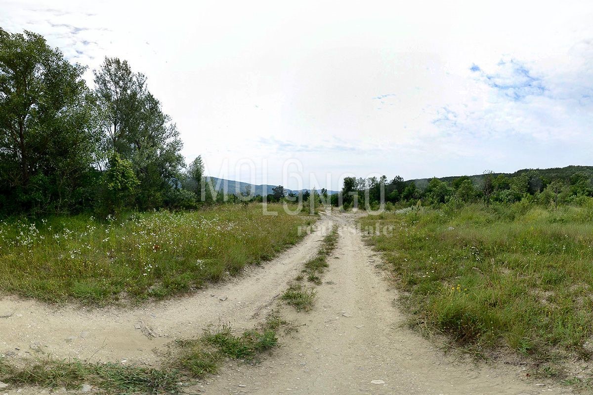 ŠUŠNJEVICA
