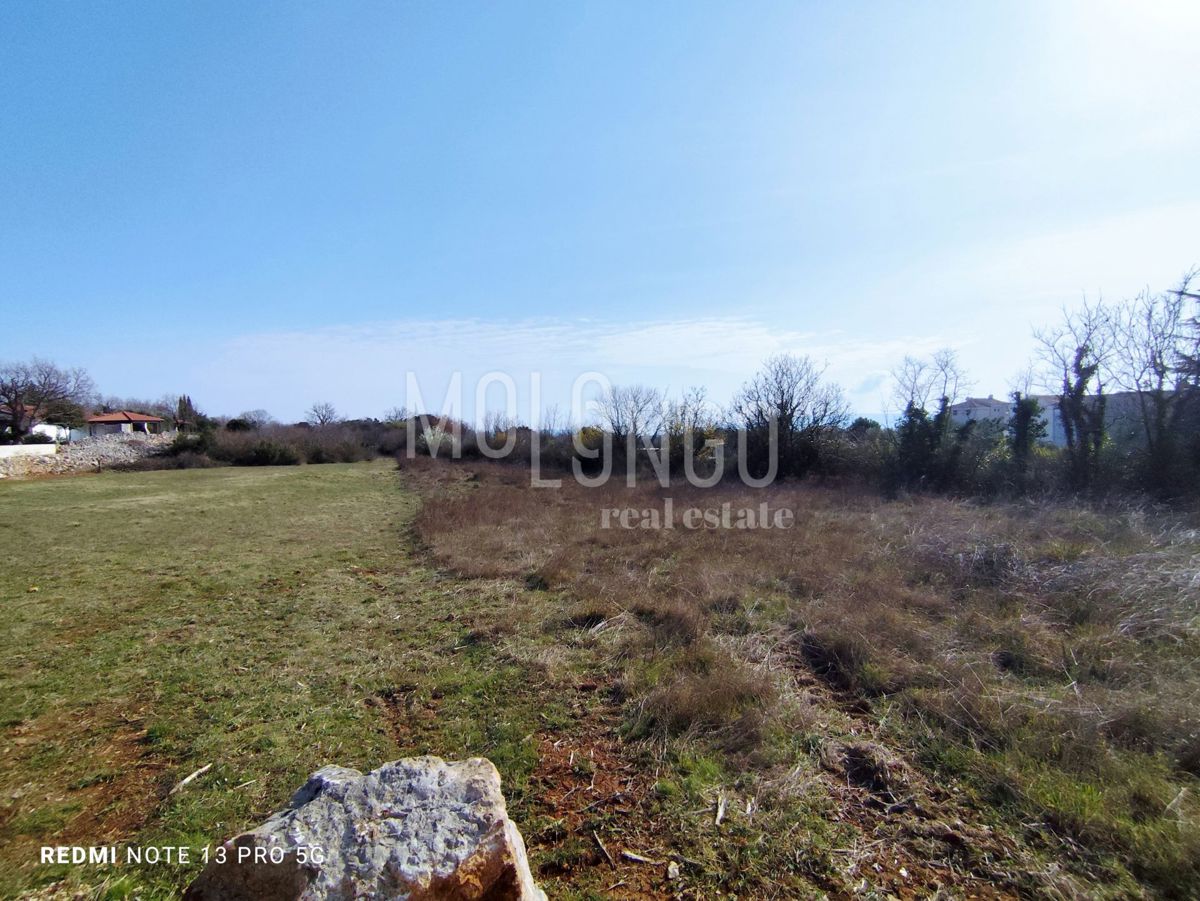 LINARDIĆI