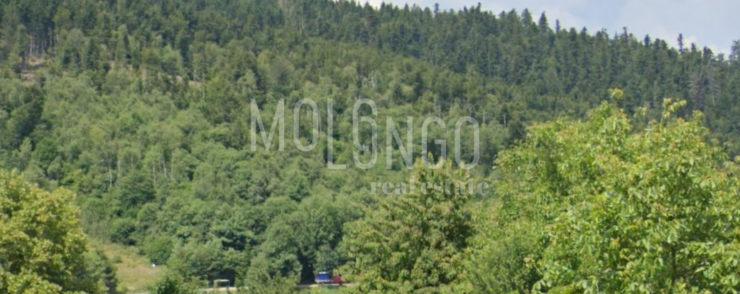 FUŽINE
