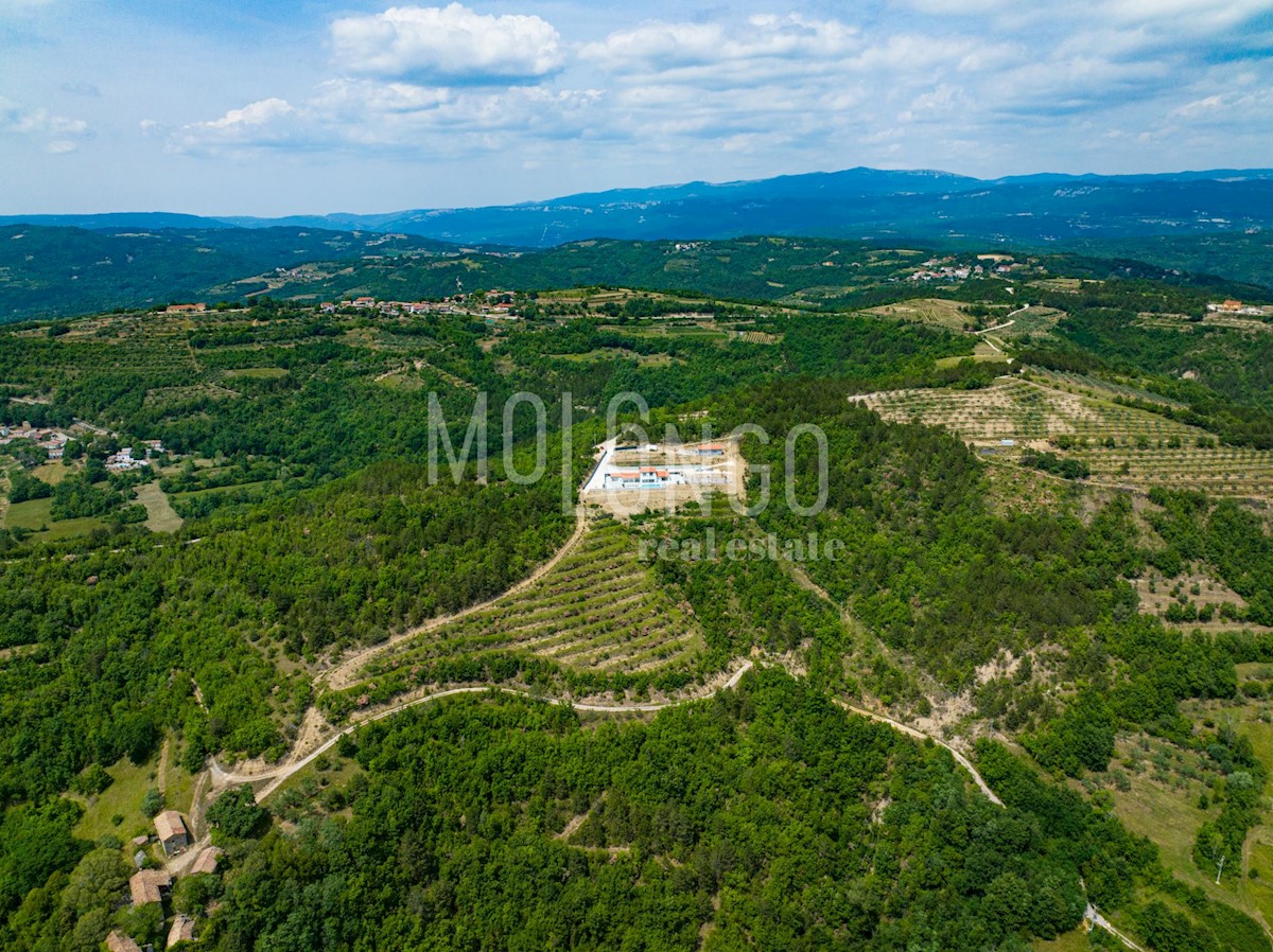 KORELIĆI