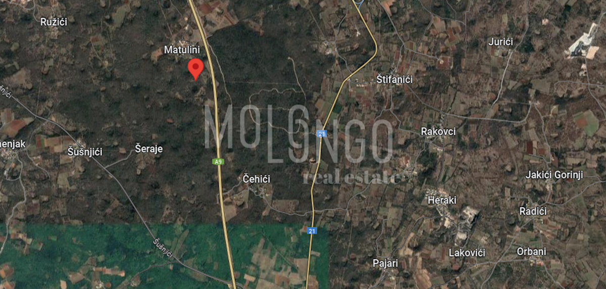 MATULINI